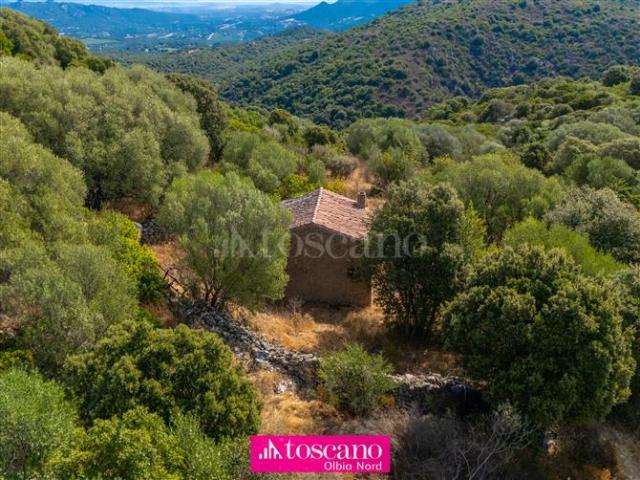 Terreno in vendita a Monte, Sardigna/Sardegna