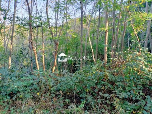 Terreno in vendita a Volpago Del Montello, Veneto