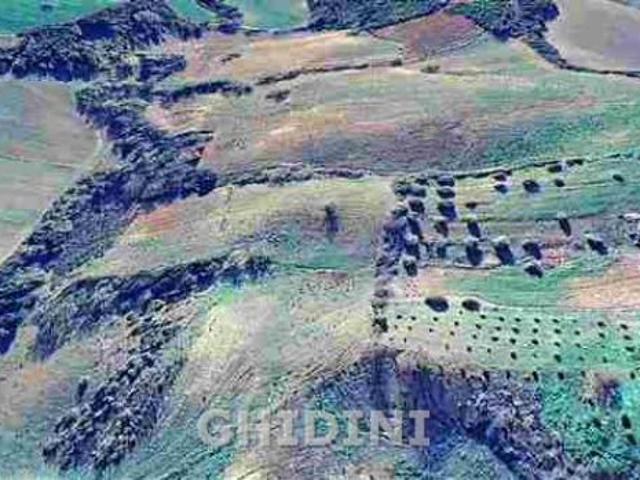 Terreno in vendita a Campagnatico, Toscana
