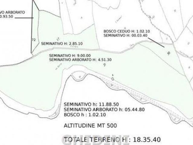 Terreno in vendita a Roccalbegna, Grosseto