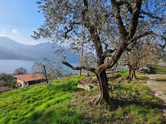 Terreno in vendita a Comunità montana del Sebino bresciano, Monte Isola