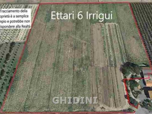 Terreno in vendita a Monte Argentario, Toscana