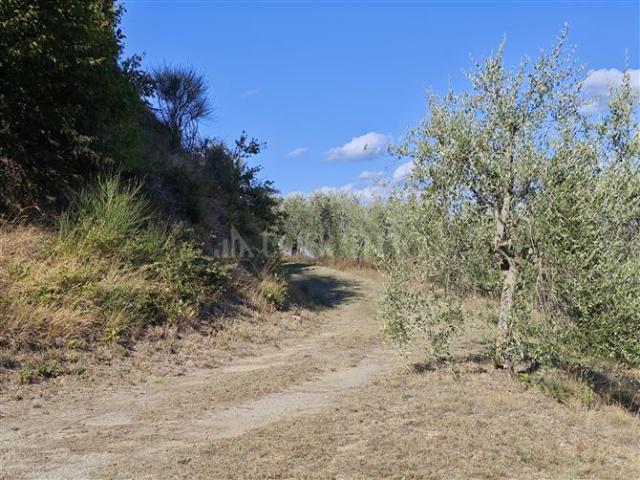 Terreno in vendita a Lecchi, Toscana