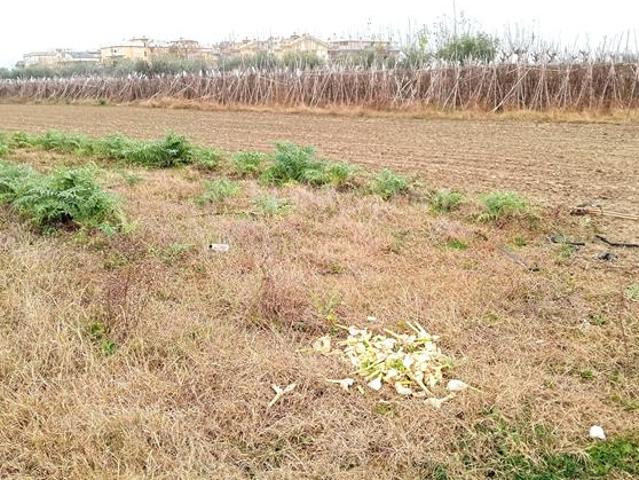 Terreno in vendita a Unione dei Comuni della Val Vibrata, Martinsicuro