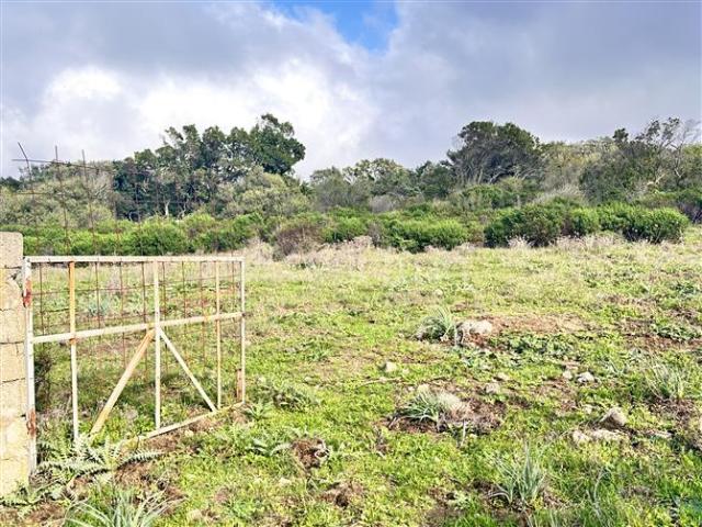 Terreno in vendita a Sant'antonio Di Gallura, Sardigna/Sardegna