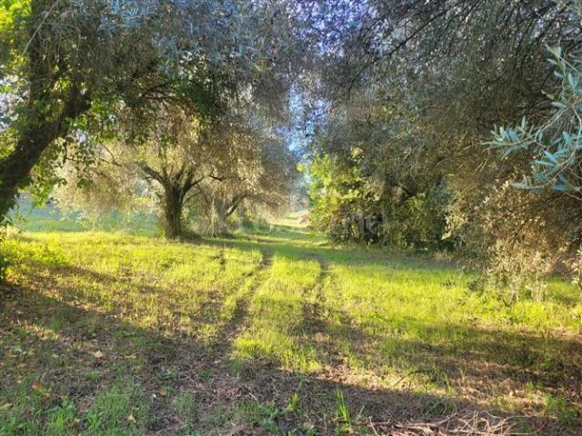 Terreno in vendita a Monterotondo, Roma Capitale