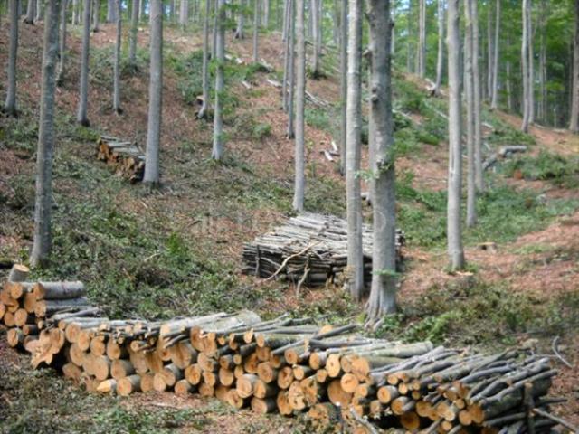 Terreno in vendita a Madonna del Ponte, Vetralla