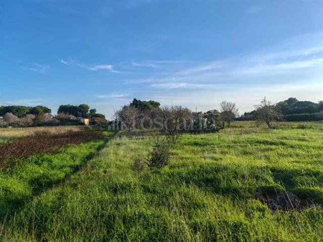 Terreno in vendita a Contrada Montenegro, Puglia