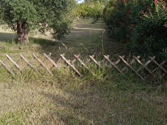 Terreno in vendita a Orte, Lazio