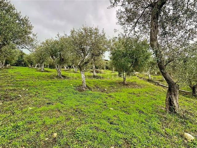 Terreno in vendita a Sennori, Sardigna/Sardegna