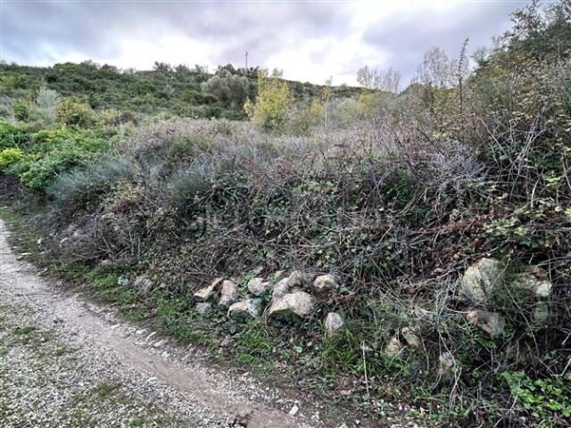 Terreno in vendita a Florinas, Sardigna/Sardegna