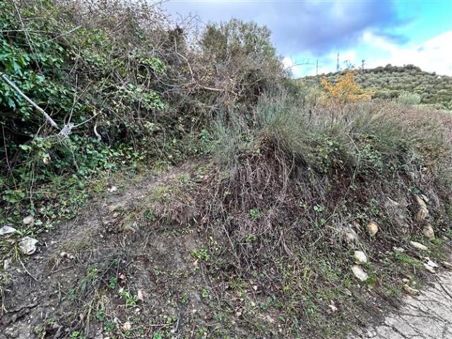 Terreno in vendita a Florinas, Sardigna/Sardegna