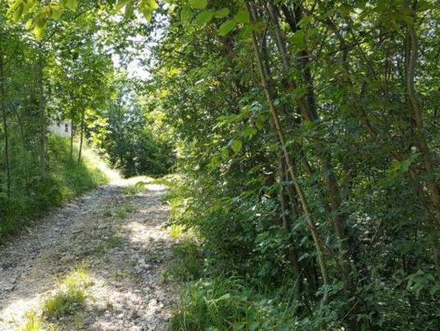 Terreno in vendita a Cornuda, Veneto