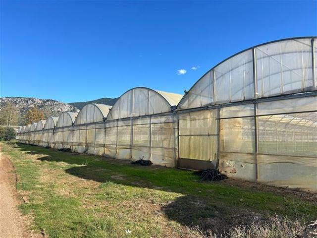 Terreno in affitto a Terracina, Lazio