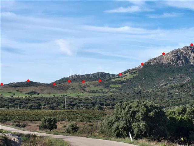 Terreno in vendita a Berchidda, Sardigna/Sardegna
