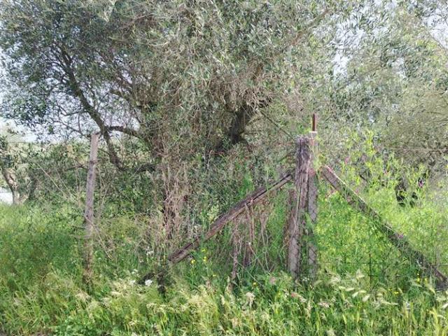 Terreno in vendita a Finocchio, Roma Capitale
