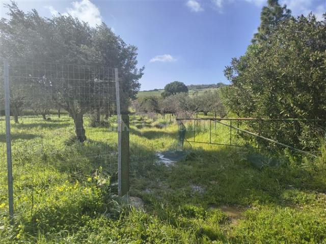 Terreno in vendita a Fico, Valderice