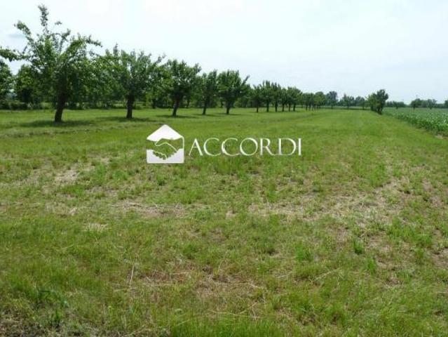 Terreno in vendita a Volpago Del Montello, Veneto