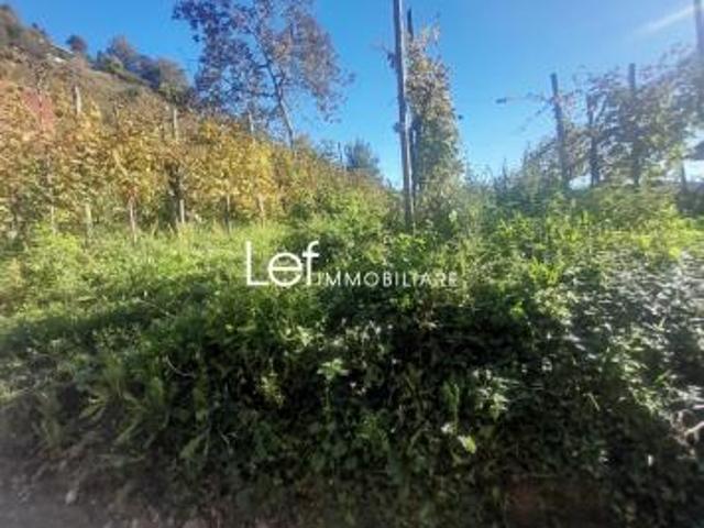 Terreno in vendita a Follina, Veneto