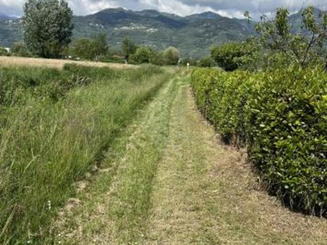 Terreno in vendita a Tonfano, Toscana