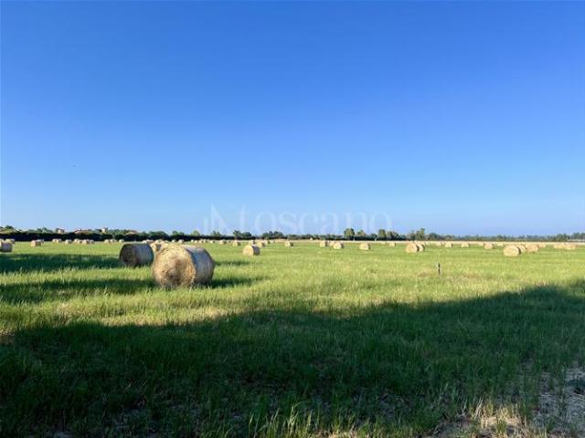 Terreno in vendita a Roma Capitale, Lazio