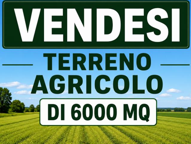 Terreno in vendita a Salzano, Veneto