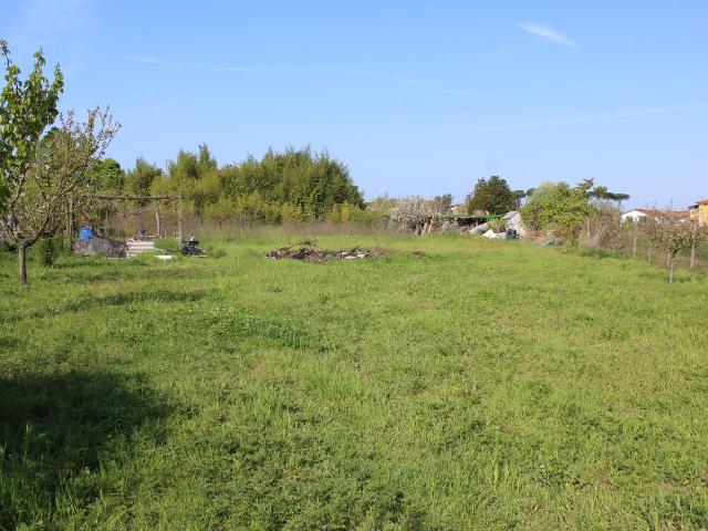 Terreno in affitto a Camaiore, Toscana