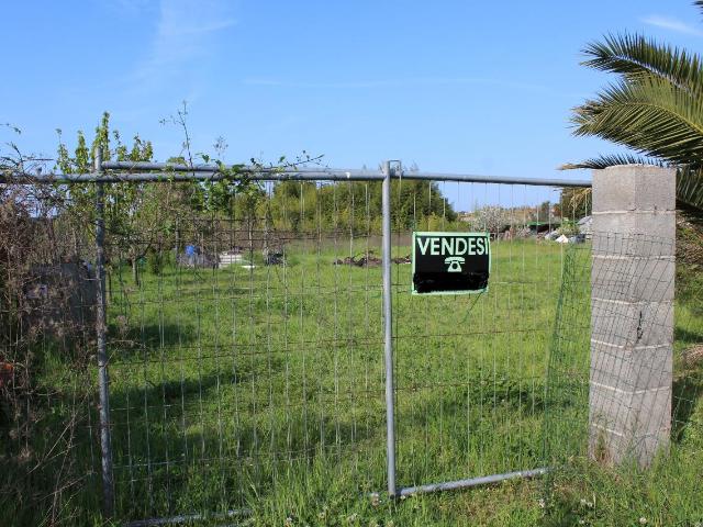 Terreno in affitto a Camaiore, Toscana