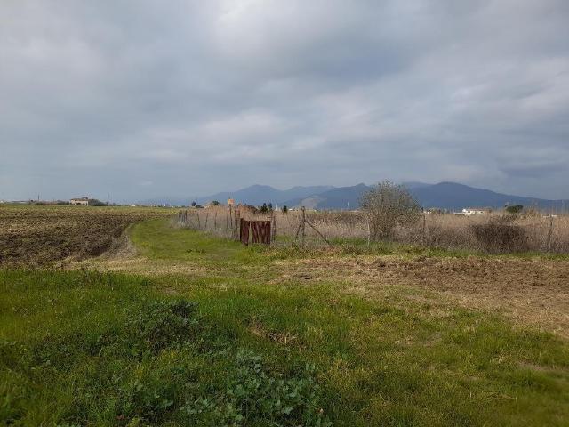Terreno in affitto a Via di Corte, Cascina