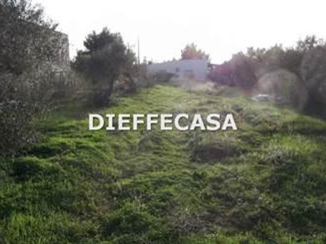 Terreno in affitto a Marsala, Sicilia