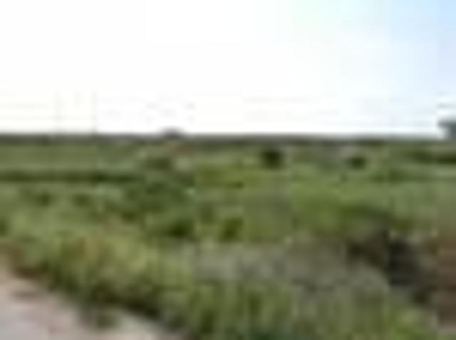 Terreno in affitto a Marsala, Sicilia