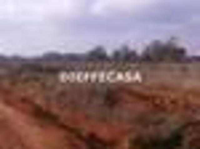 Terreno in affitto a Marsala, Sicilia