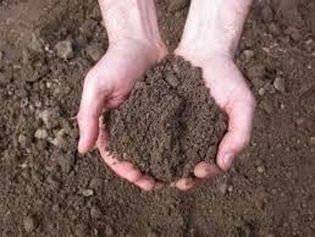 Terreno in affitto a Marsala, Sicilia