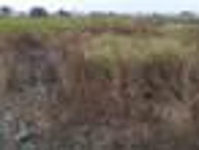 Terreno in affitto a Ettore Infersa, Marsala