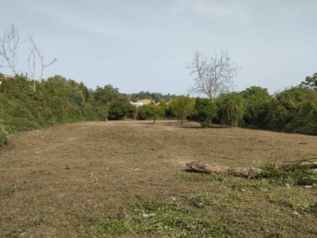 Terreno in affitto a Camaldoli, Napola
