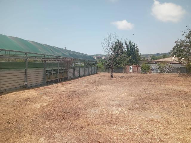 Terreno in affitto a Camaldoli, Napola