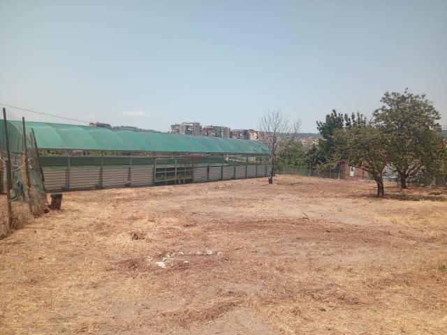 Terreno in affitto a Camaldoli, Campania