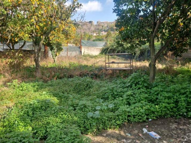 Terreno in affitto a Camaldoli, Napola