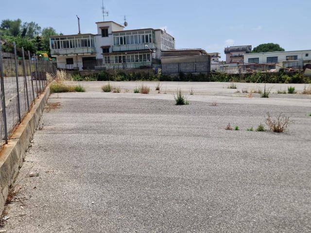 Terreno in affitto a Camaldoli, Napola