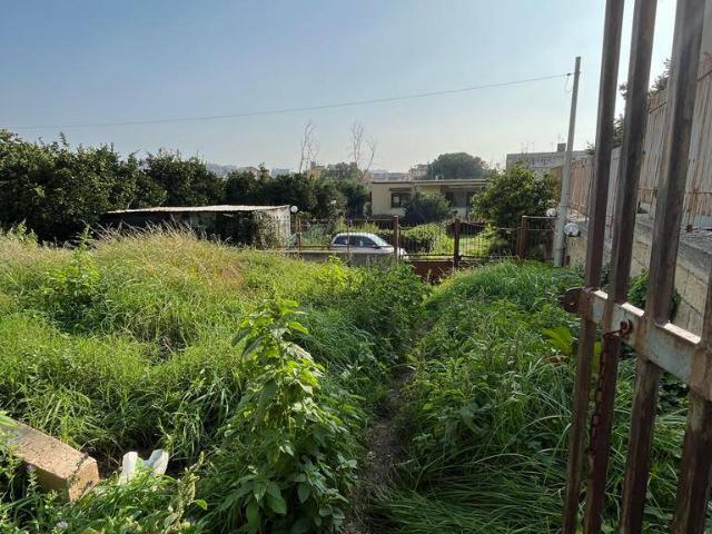 Terreno in affitto a Camaldoli, Napola