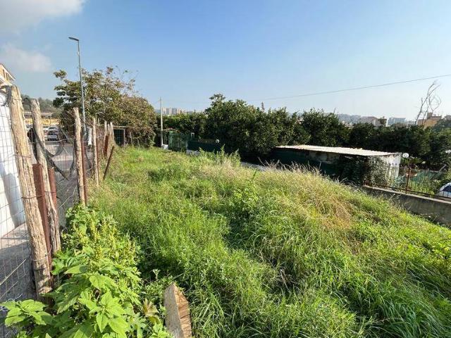 Terreno in affitto a Camaldoli, Campania