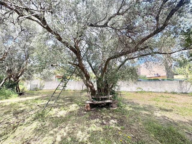 Terreno in affitto a VI Circoscrizione, Palermo