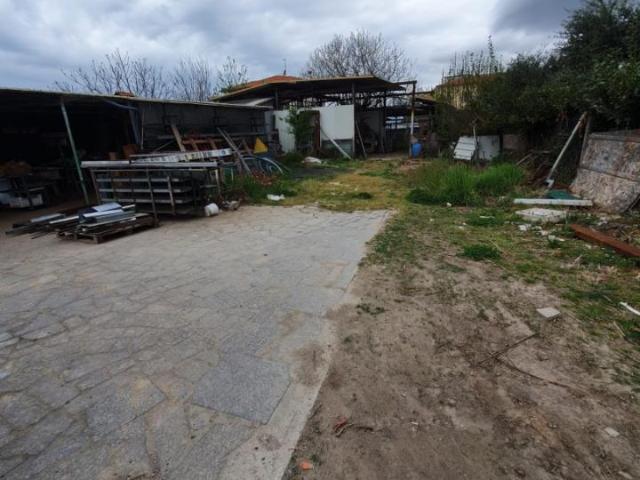 Terreno in affitto a Tonfano, Toscana
