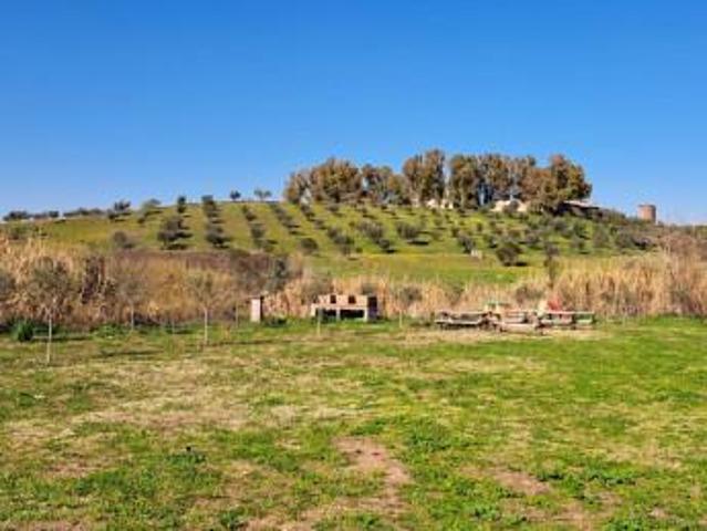 Terreno in affitto a Falcognana, Roma Capitale