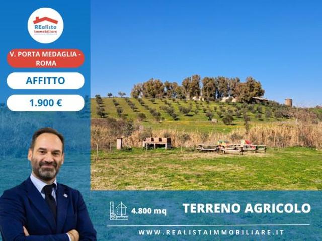 Terreno in affitto a Roma Capitale, Lazio