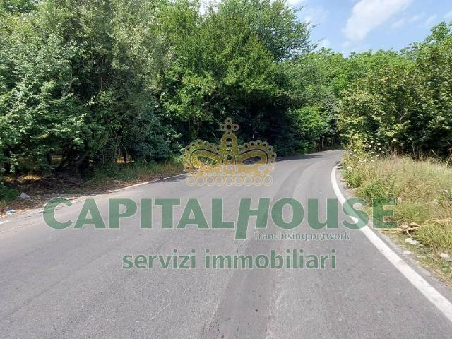 Terreno in affitto a Palma Campania, Campania