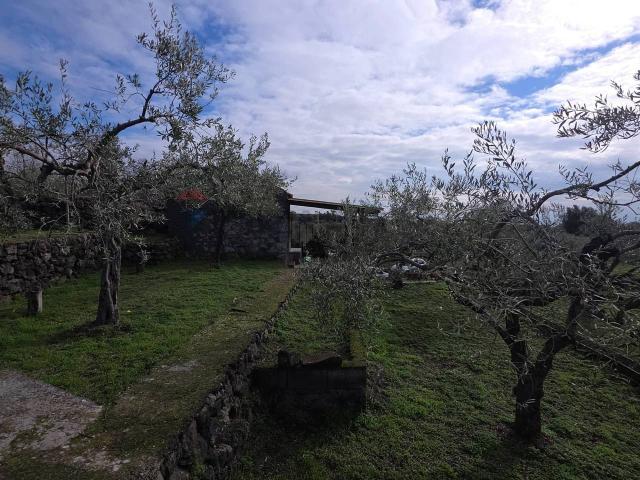Terreno in affitto a Mascalucia, Sicilia