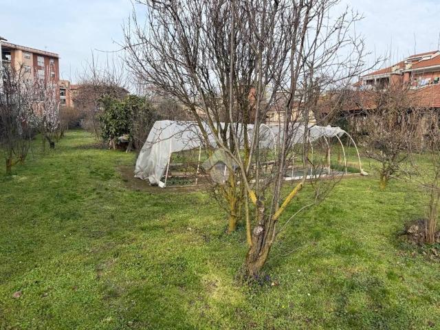 Terreno in affitto a Circoscrizione 5, Piemonte