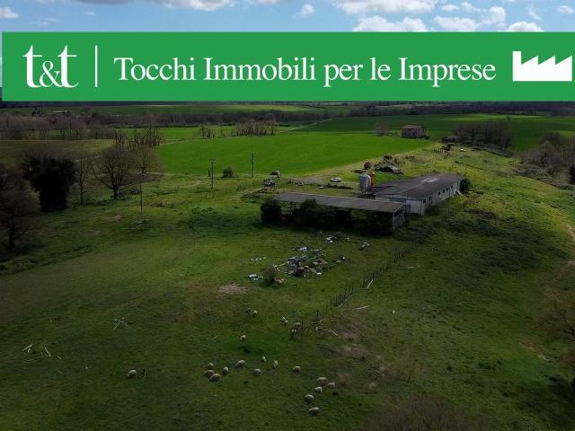 Terreno in vendita a Acquapendente, Lazio