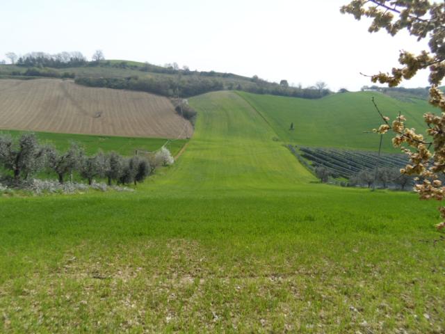 Terreno in vendita a Marche, Ascoli Piceno